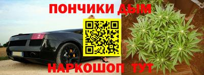 spice Камышлов