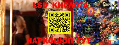 spice Камышлов