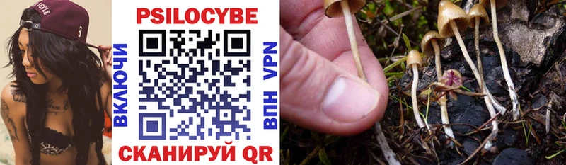 ОМГ ОМГ ссылка  Приморско-Ахтарск  Псилоцибиновые грибы Cubensis 