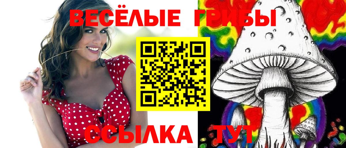 Приморско-Ахтарск  Псилоцибиновые грибы Cubensis  Вход с VPN  Псилоцибиновые грибы MAGIC MUSHROOMS 