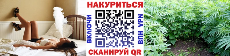 Бошки марихуана индика  наркотики  Приморско-Ахтарск 